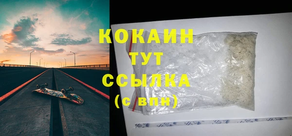 шишки Балахна
