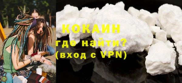 шишки Балахна