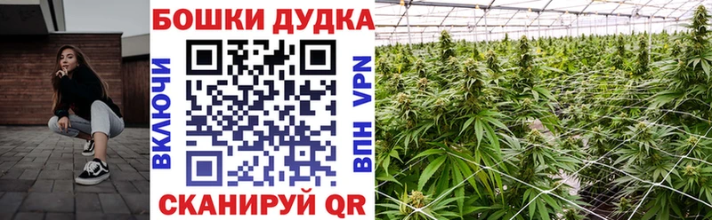 МАРИХУАНА SATIVA & INDICA наркотики hydra онион Малая Вишера
